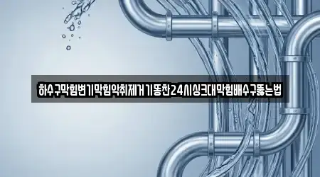 하수구막힘변기막힘악취제거기똥찬24시싱크대막힘배수구뚫는법