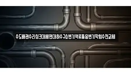 수도배관수리싱크대세면대하수구소변기역류뚫음변기막힘수전교체