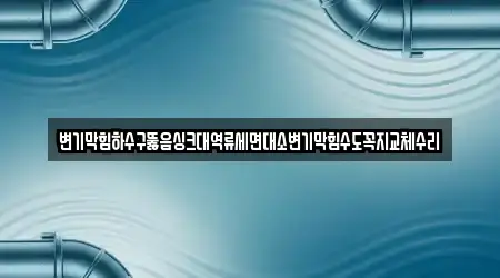 변기막힘하수구뚫음싱크대역류세면대소변기막힘수도꼭지교체수리