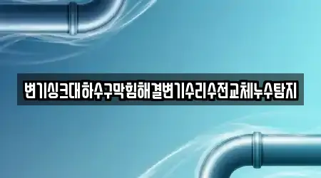 변기싱크대하수구막힘해결변기수리수전교체누수탐지