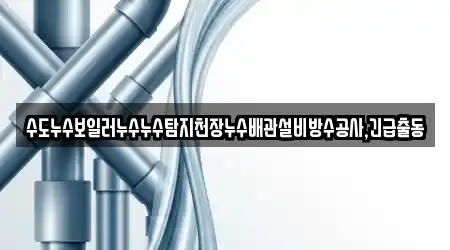 수도누수보일러누수누수탐지천장누수배관설비방수공사,긴급출동