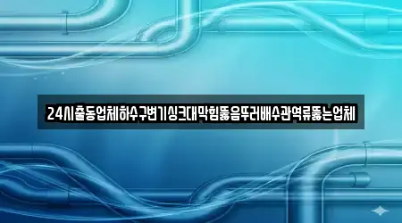 24시출동업체하수구변기싱크대막힘뚫음뚜러배수관역류뚫는업체