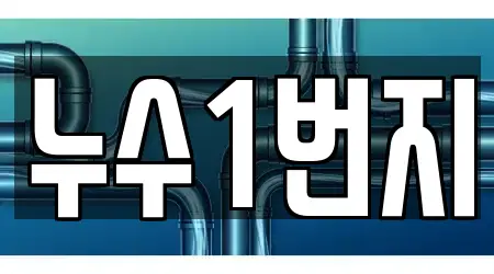 누수1번지