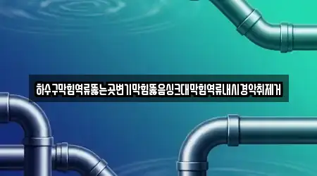 하수구막힘역류뚫는곳변기막힘뚫음싱크대막힘역류내시경악취제거
