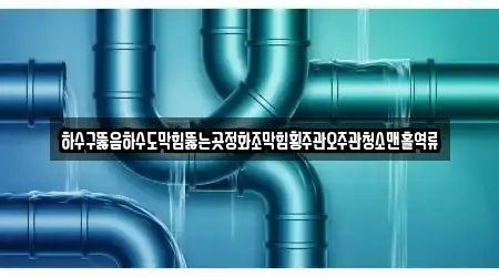 하수구뚫음하수도막힘뚫는곳정화조막힘횡주관오주관청소맨홀역류