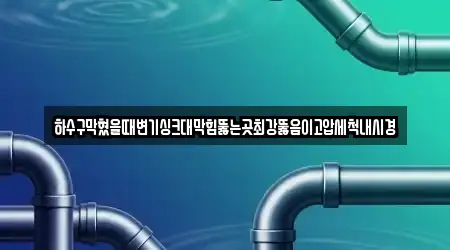 하수구막혔을때변기싱크대막힘뚫는곳최강뚫음이고압세척내시경