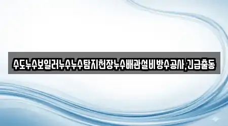 수도누수보일러누수누수탐지천장누수배관설비방수공사,긴급출동