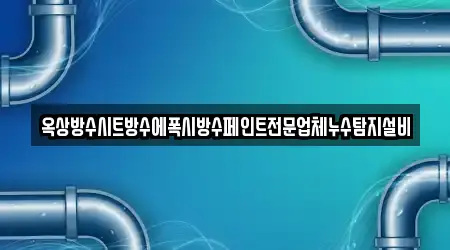 옥상방수시트방수에폭시방수페인트전문업체누수탐지설비