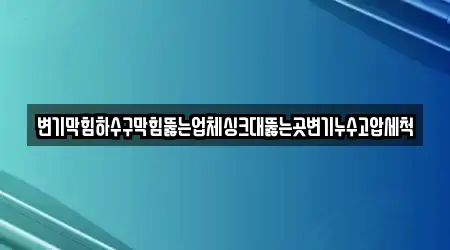 변기막힘하수구막힘뚫는업체싱크대뚫는곳변기누수고압세척