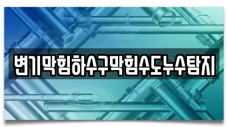 변기막힘하수구막힘수도누수탐지