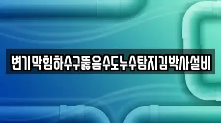 변기막힘하수구뚫음수도누수탐지김박사설비