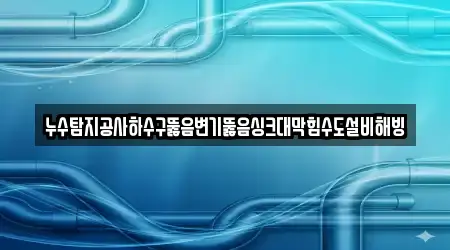 누수탐지공사하수구뚫음변기뚫음싱크대막힘수도설비해빙