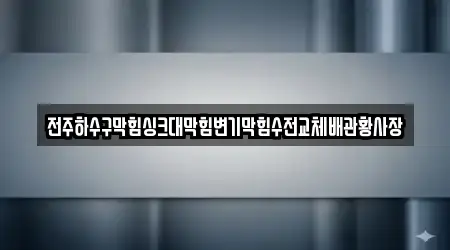 전주하수구막힘싱크대막힘변기막힘수전교체배관황사장