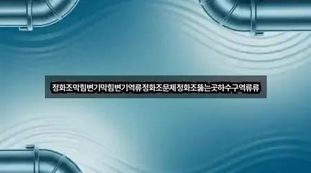 정화조막힘변기막힘변기역류정화조문제정화조뚫는곳하수구역류류
