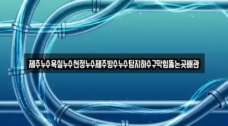 제주누수욕실누수천정누수제주방수누수탐지하수구막힘뚫는곳배관