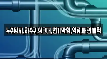 누수탐지,하수구,싱크대,변기막힘,역류,배관세척