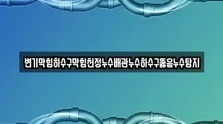 변기막힘하수구막힘천정누수배관누수하수구뚫음누수탐지