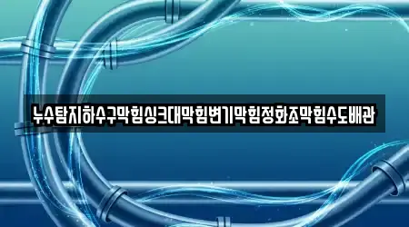 누수탐지하수구막힘싱크대막힘변기막힘정화조막힘수도배관