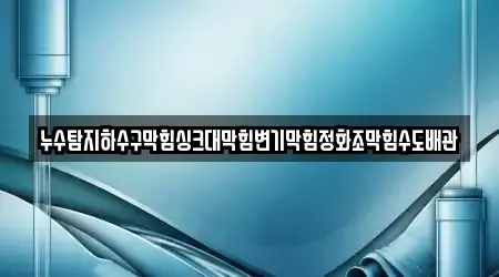누수탐지하수구막힘싱크대막힘변기막힘정화조막힘수도배관