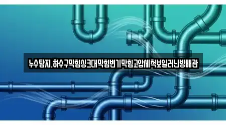 누수탐지.하수구막힘싱크대막힘변기막힘고압세척보일러난방배관