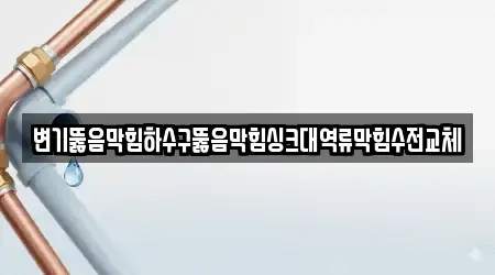 변기뚫음막힘하수구뚫음막힘싱크대역류막힘수전교체