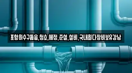 포항 남구 호동 싱크대뚫음,하수구뚫음,변기막힘,누수,누수탐지 12곳 연락처·위치