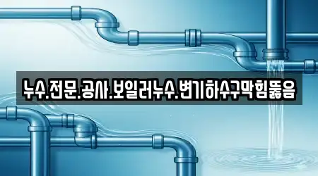 누수.전문.공사.보일러누수.변기하수구막힘뚫음