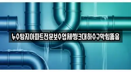 누수탐지아파트전문보수업체씽크대하수구막힘뚫음