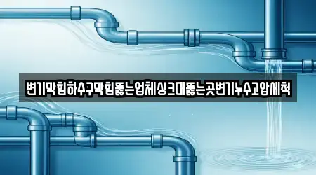 변기막힘하수구막힘뚫는업체싱크대뚫는곳변기누수고압세척