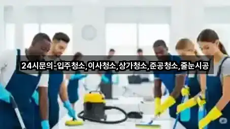 서울 종로구 장사동 상가청소 오늘의 추천 5곳