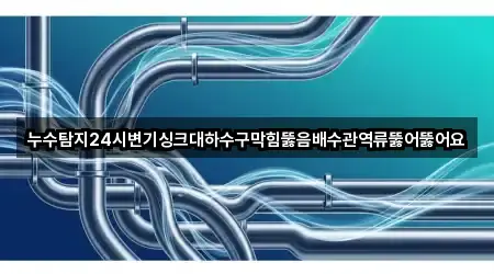 누수탐지24시변기싱크대하수구막힘뚫음배수관역류뚫어뚫어요