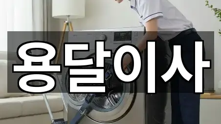 양주 장흥면 용달이사 5곳 주변 총정리 양주 장흥면 용달이사 5곳 주변 총정리