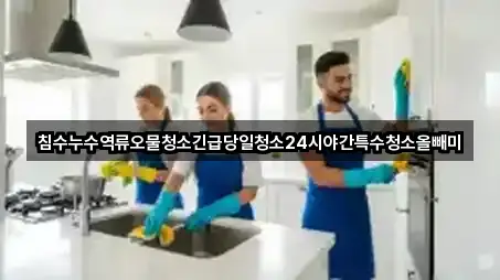 침수누수역류오물청소긴급당일청소24시야간특수청소올빼미
