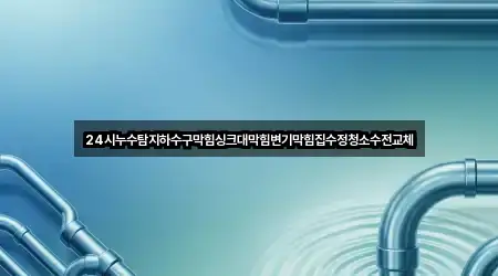 24시누수탐지하수구막힘싱크대막힘변기막힘집수정청소수전교체