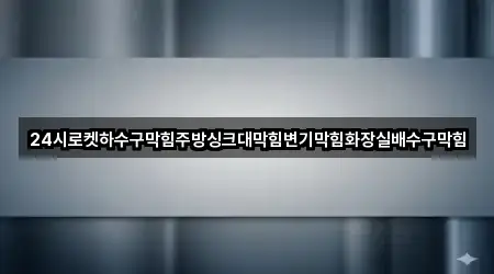 24시로켓하수구막힘주방싱크대막힘변기막힘화장실배수구막힘