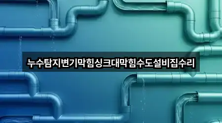 누수탐지변기막힘싱크대막힘수도설비집수리
