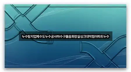 누수탐지업체수도누수공사하수구뚫음화장실싱크대막힘아파트누수