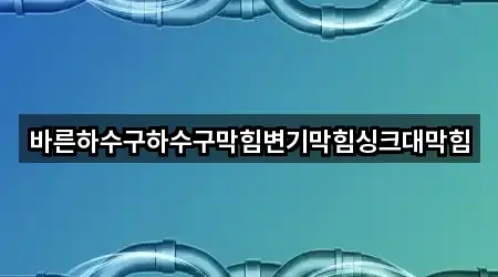 바른하수구하수구막힘변기막힘싱크대막힘