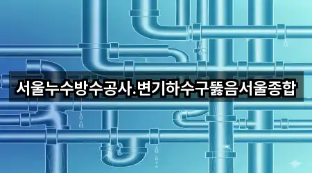 서울누수방수공사.변기하수구뚫음서울종합