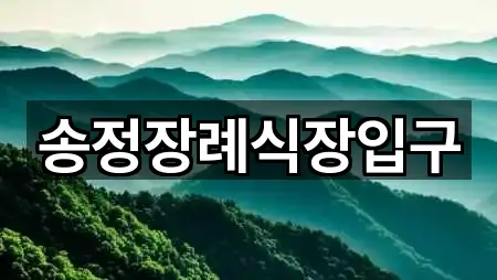 송정장례식장입구