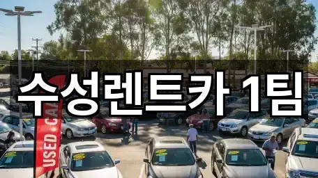 수성렌트카 1팀