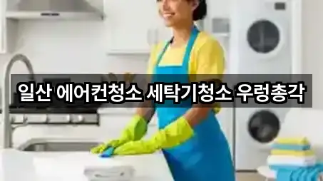 일산 에어컨청소 세탁기청소 우렁총각
