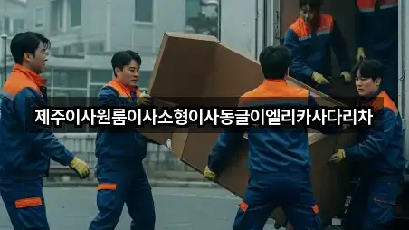 제주이사원룸이사소형이사동글이엘리카사다리차