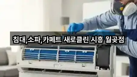 침대,소파,카페트 새로클린 시흥 월곶점