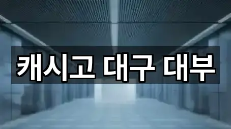 캐시고 대구 대부