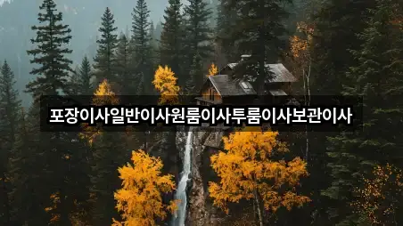 포장이사일반이사원룸이사투룸이사보관이사