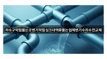 하수구막힘뚫는곳변기막힘싱크대역류뚫는업체변기수리수전교체