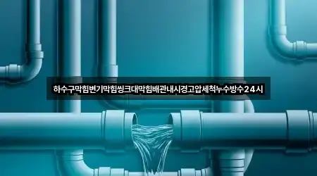 하수구막힘변기막힘씽크대막힘배관내시경고압세척누수방수24시