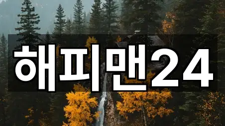 해피맨24