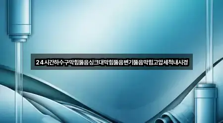 24시간하수구막힘뚫음싱크대막힘뚫음변기뚫음막힘고압세척내시경